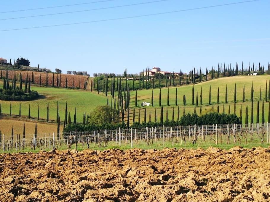 Castello Di Fulignano Ildebrando Superior Apartment San Gimignano Exterior photo